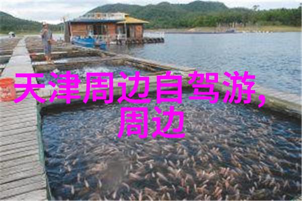 美食天堂国外有哪些地方是美食爱好者的天堂
