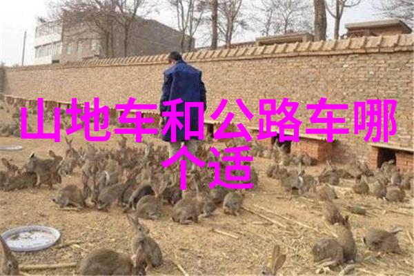 尼罗河之谜探索国外著名旅游景点中的古老水源揭秘其位置地图与历史简介