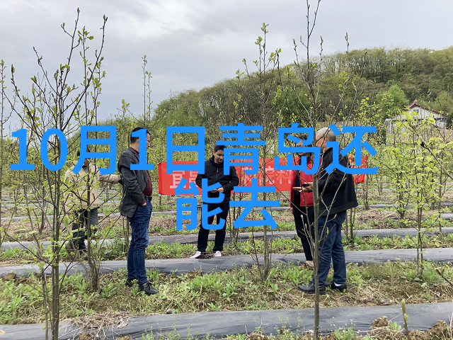 西江千户苗寨探秘云南古色民居与丰富的苗族文化