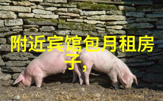 大理古镇漫步揭秘蓝天白云下的迷人风情