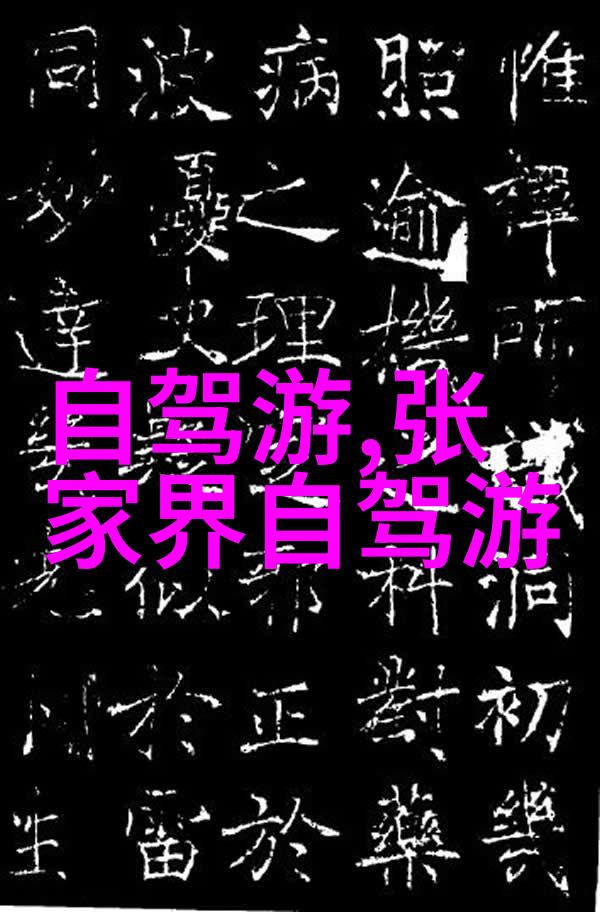 探索贵州风情一条穿越云雾的旅行路线