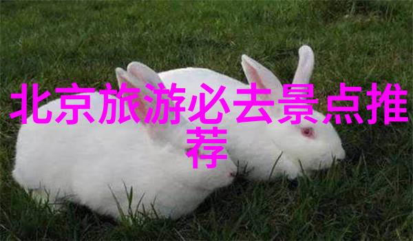骑车中遇见的人和事让男生不再孤单