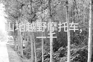 骑行至未知的边界自行车论坛上的秘密挑战
