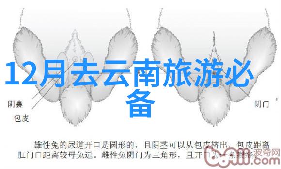 贵州美景一览7到10天自驾游攻略详解