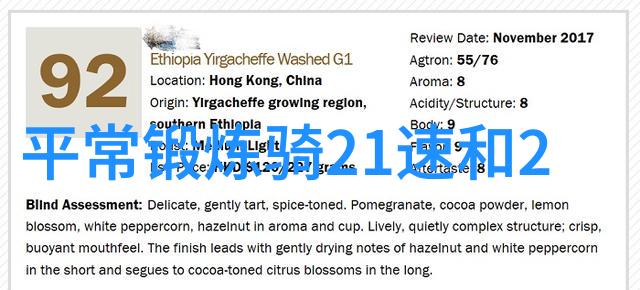 苗族文化的守护者探访千户苗寨的传统与现代融合