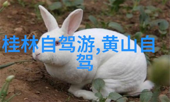 重返古镇梦走访中国古城小镇