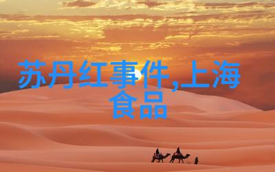 美食短视频素材免费-品味满分探索网络上最棒的美食短视频素材免费资源