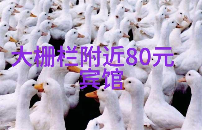 家庭乐园亲子游戏的奇妙世界