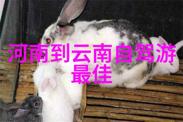 保山美景绘卷揭秘云南东部的自然奇观与文化瑰宝