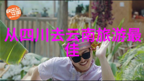 乌镇旅游攻略探索古镇迷雾中的秘密