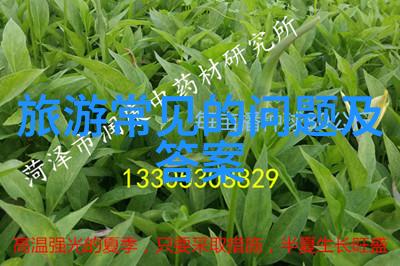 佛山自驾英德九龙之旅广州周边游探秘社会美好