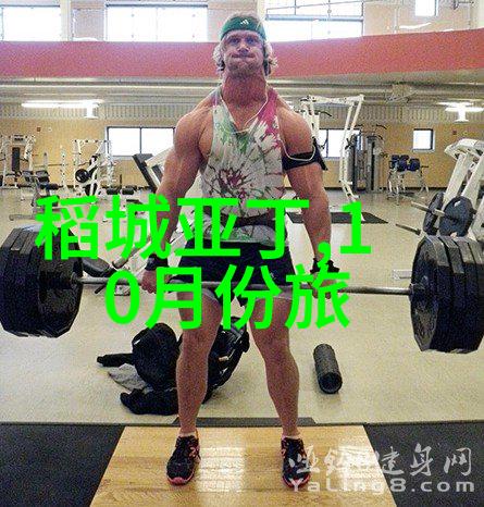 厦门旅游3天攻略 - 淡水街美食巡礼与鼓浪屿艺术探索