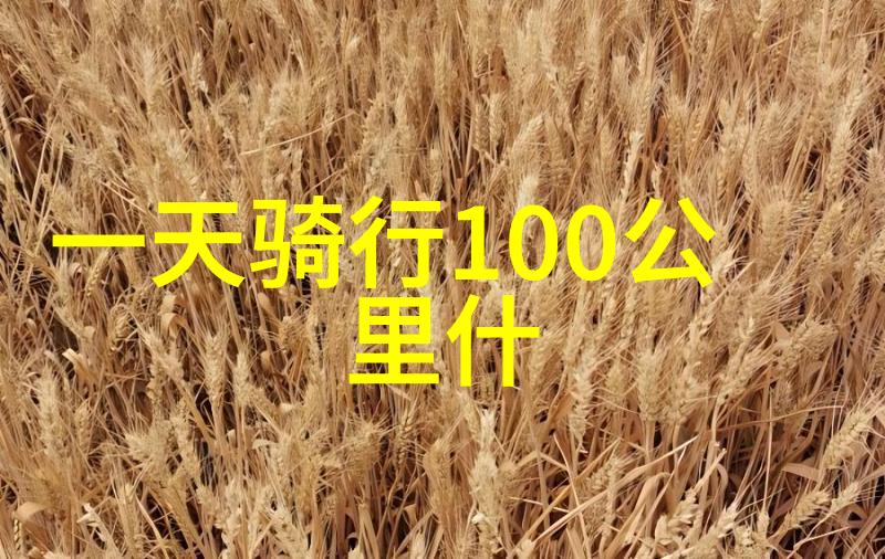 春节奇遇众信旅游带你追寻新疆最动人浪漫之地