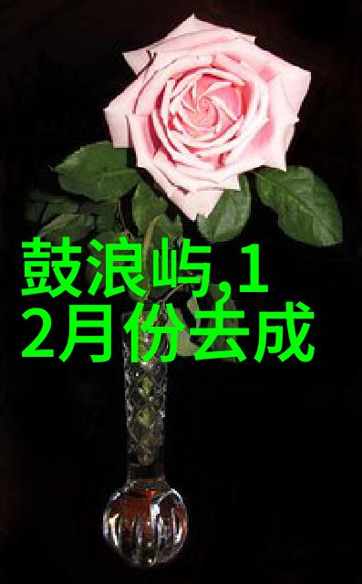 年终趣味活动项目庆祝风采共创美好回忆