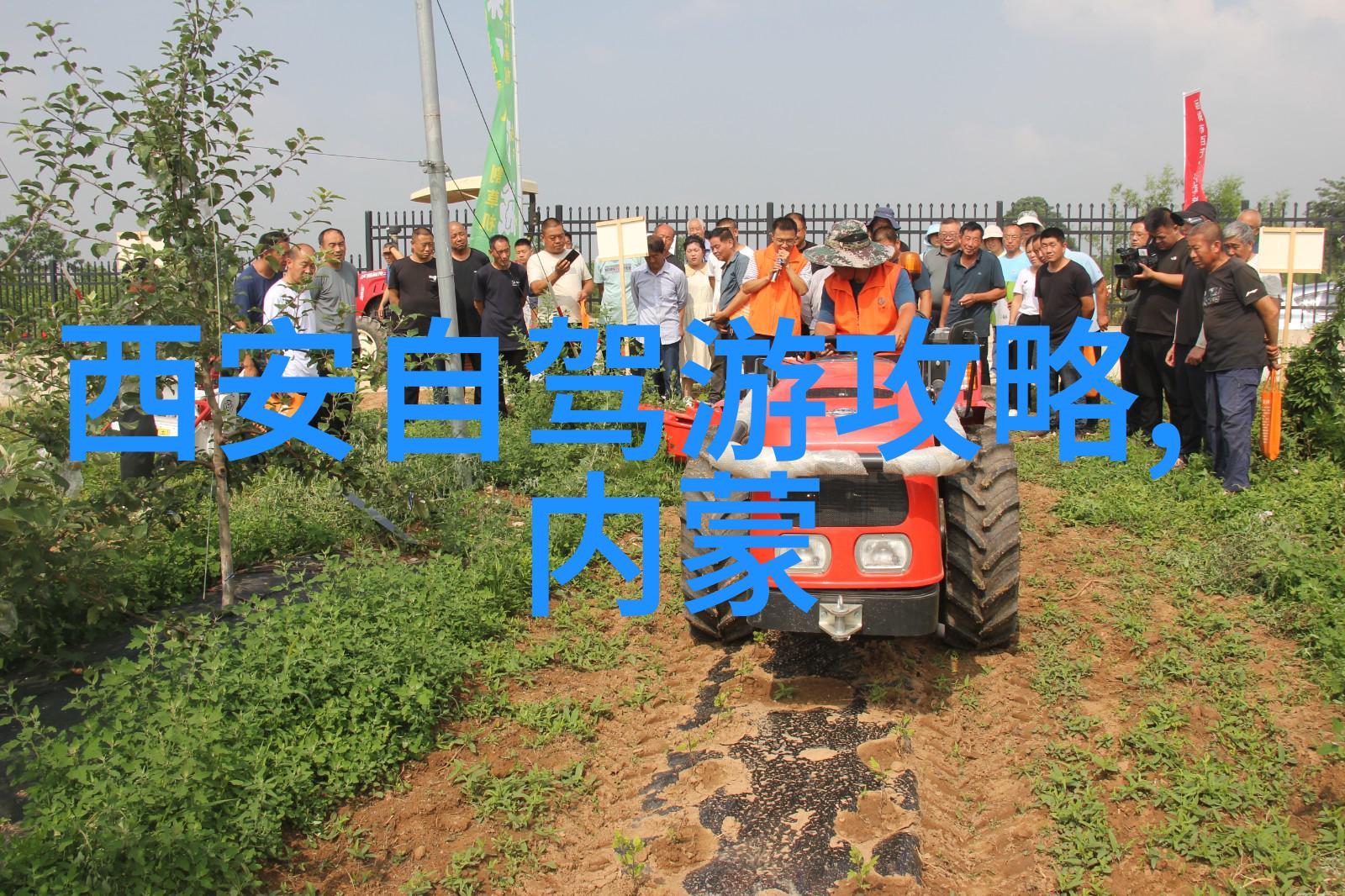 老婆不在家看的网站隐秘的探索与无声的告别