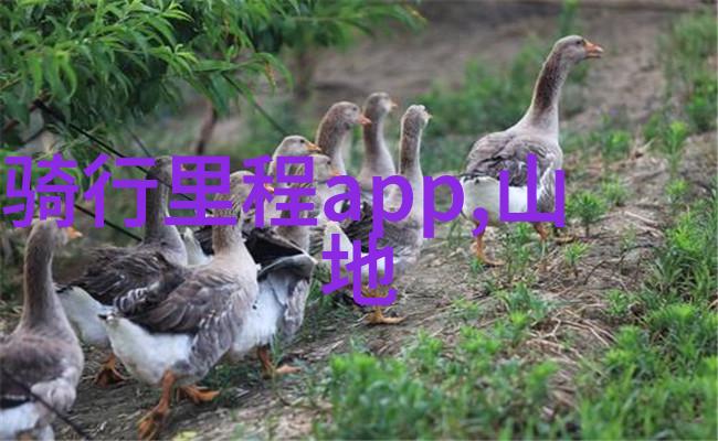中国秋色游探索大陆之秋的美丽