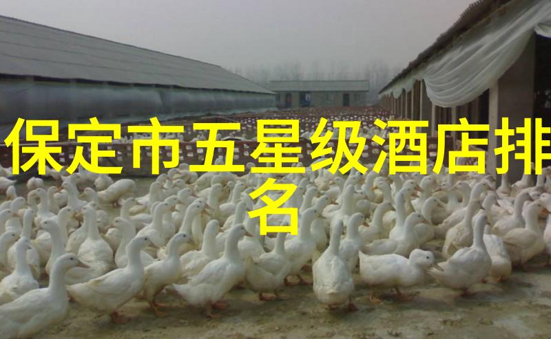 都江堰旅游攻略-探秘千古奇迹游都江堰的最佳时间必看景点与小贴士