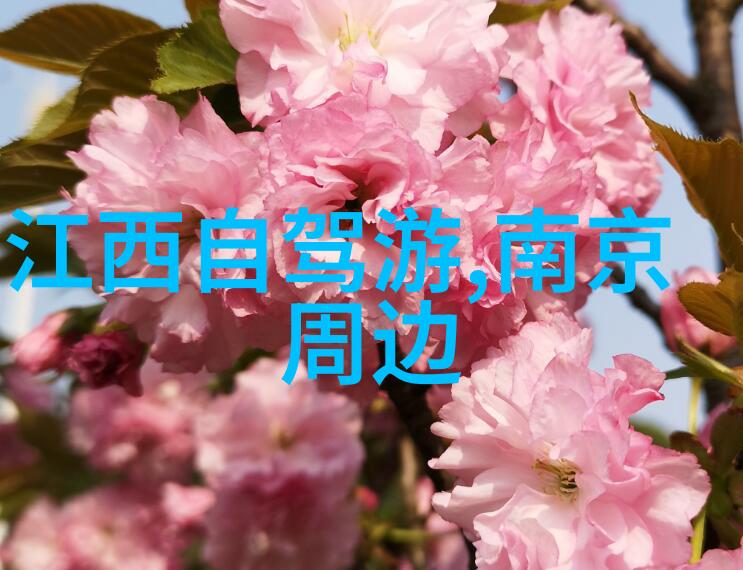 淄博春季新兴旅游方式5个探索山区的创新路径