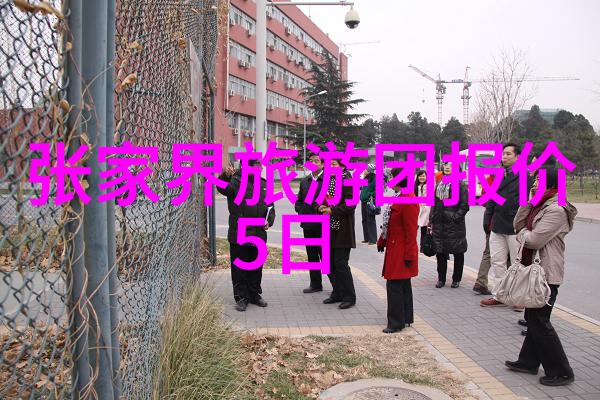 熊猫时空馆在成都旅游攻略中占据重要位置成为探索最佳路线的社会热点