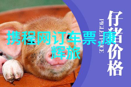旅途中的豪华体验揭秘全国甲级旅游民宿的精髓