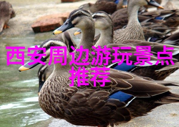 2023年户外拓展项目精选指南