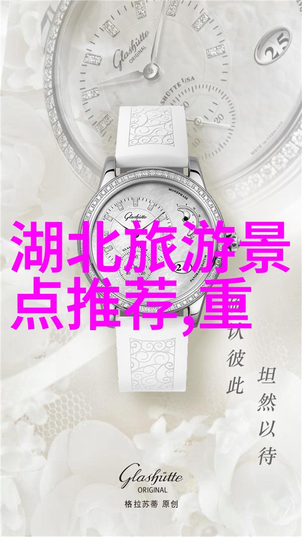 红烧肉的无数变种武汉菜系中的传统与创新
