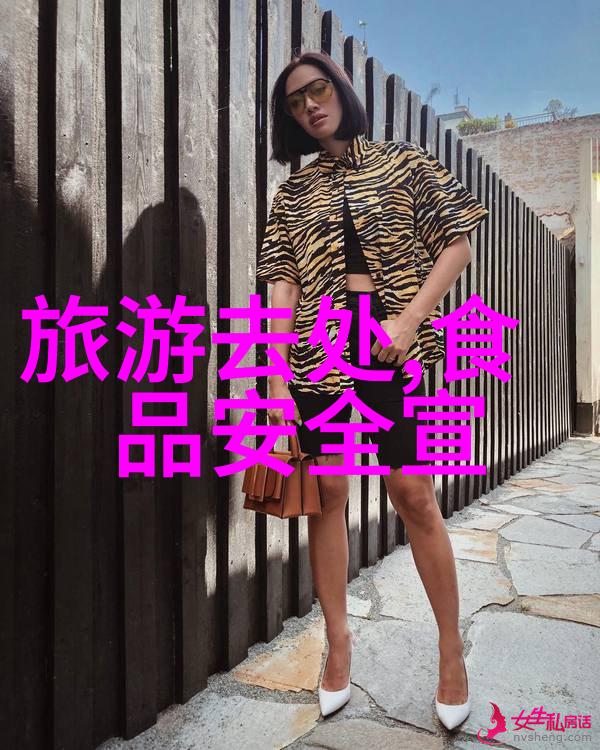 在寻求去韩国的签证时你知道它是在哪里办吗揭秘韩国签证申请流程也许能为你的旅游新疆攻略提供一些灵感