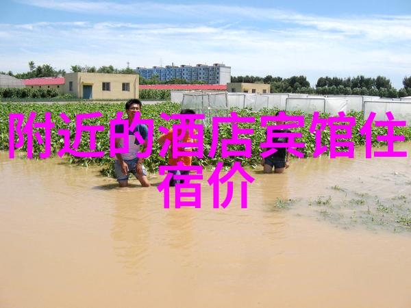 游记我在云南的那段忘返的时光