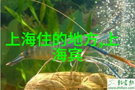 汽车自驾游 - 抓住旅途的每一个美好瞬间探索大地的无限魅力