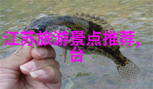 肥水一体岳今晚的互动视频之旅