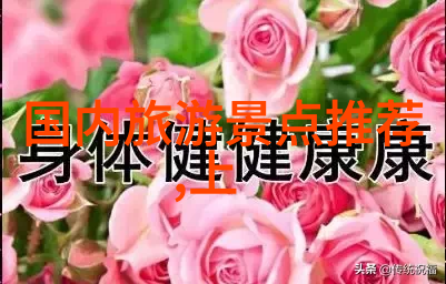 美食攻略品味天堂的必备指南