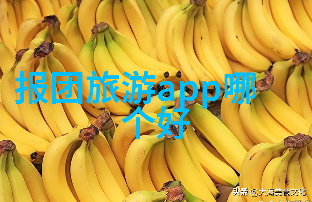 北京最著名的小吃街-探索故宫边的老字号品味北京小吃街的传统魅力