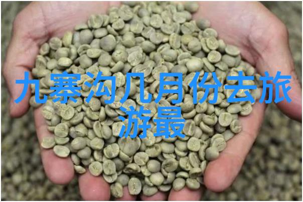 广州四季游驾着梦想绘出美丽篇章