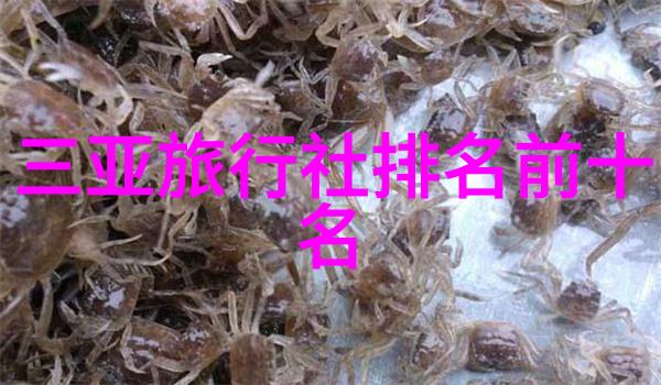 云南的自然风光简介翠峦回响之旅