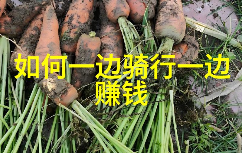 济南自驾游住宿攻略探索城市美食与自然风光的完美结合