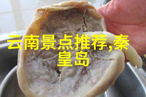 南京自驾游揭秘紫金城的隐秘角落与美丽风光