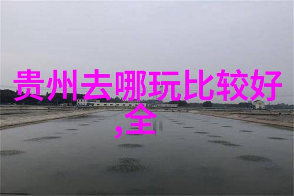 简单美食大集合家常做法让味蕾舞动