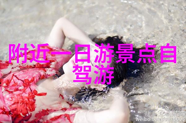 湛江旅行指南-探秘湛江美丽海岸线与丰富文化的双重奏鸣