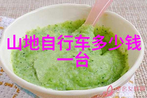 华山旅游攻略探索中华美丽山脉的完美行程