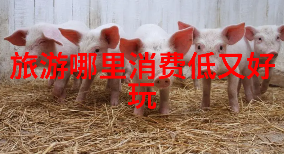 全球璀璨的旅人梦探秘世界名胜之旅