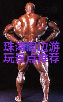 驾梦之旅自主航道上的文字化探索