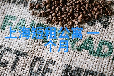 西湖畔的旅人杭州周边自驾游