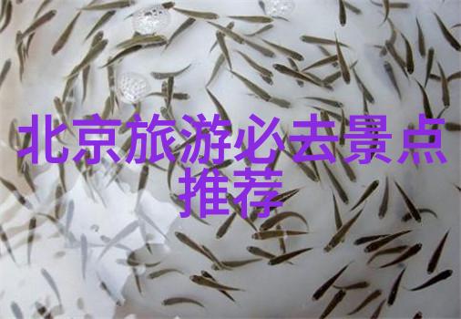 湖州影视城背后的电视剧秘密北京到云南旅游团报价揭晓社会探秘一条线索