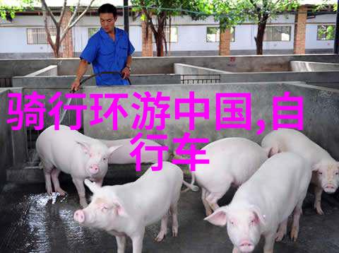 东江湖住住宿小垸隐秘之冠的乡村民宿探秘
