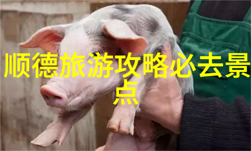 主题我是如何在家轻松脱掉内衣的