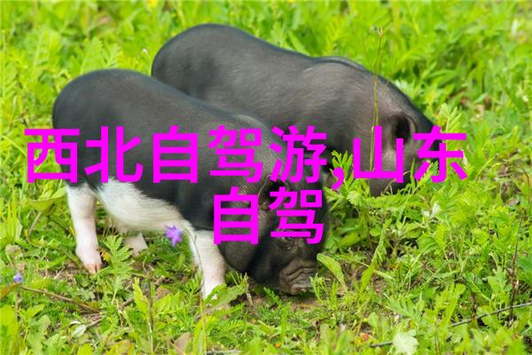 广州旅游住宿攻略我的选择从火车站到美食街的最佳住宿指南