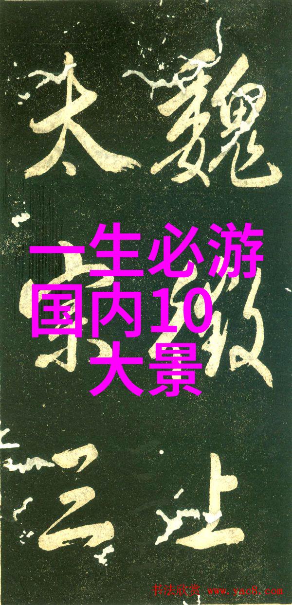 井川里的打牌风云我的扑克视频之旅