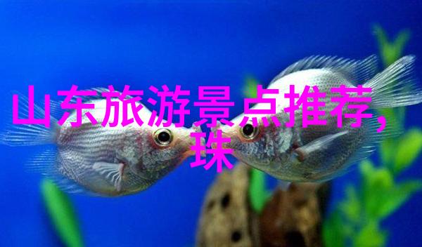 探秘世界奇迹一路旅行的足迹