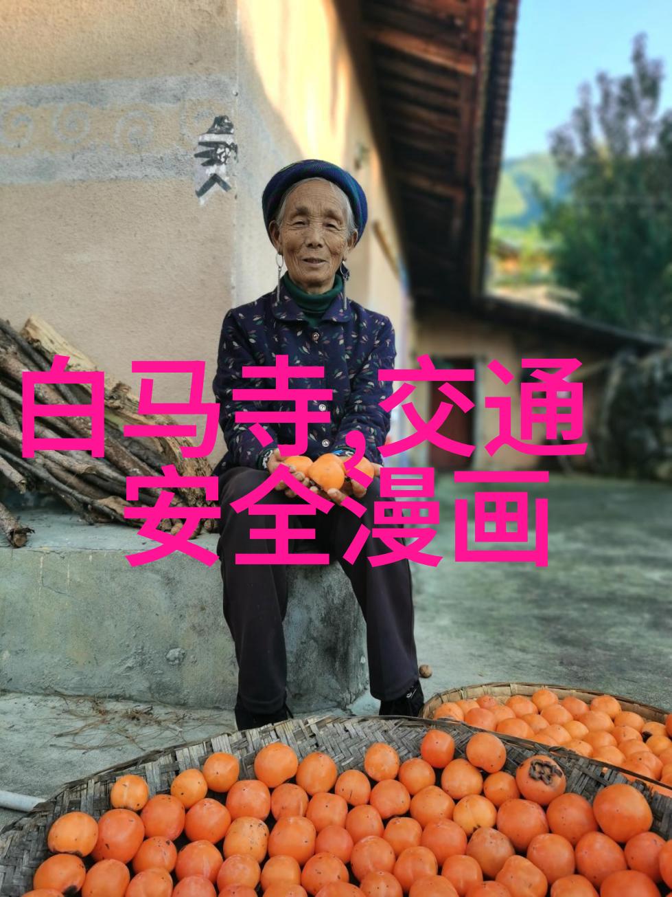 小学生户外活动方案亲子探险让我们一起去野餐吧