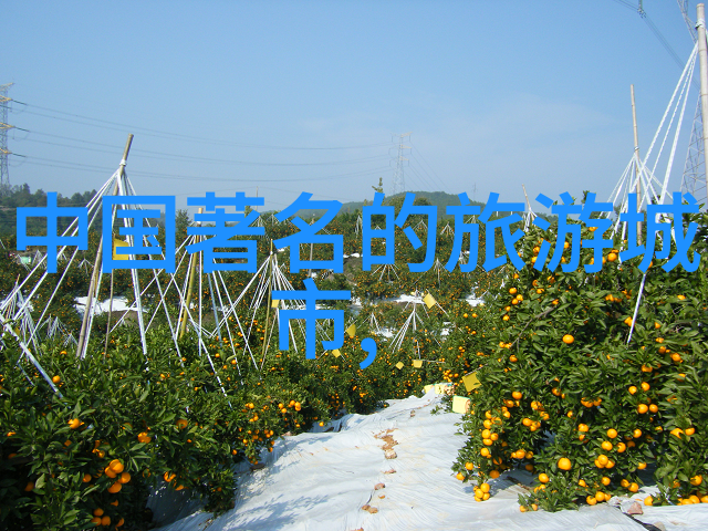 中国旅行社国内游报价探索中国内陆旅游优惠价格
